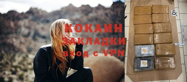 бошки Белокуриха